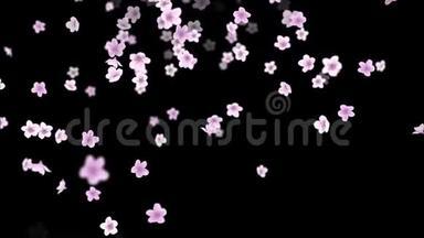 粉红色浪漫飘落的樱花花瓣。 用阿尔法通道加载4K运动春花图形。